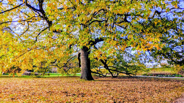 Hidden Gem of Serenity Hidden Gem of Serenity