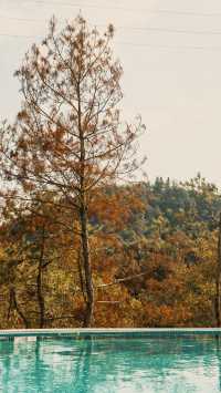 新昌,回山秋景已經藏不住了快衝呀