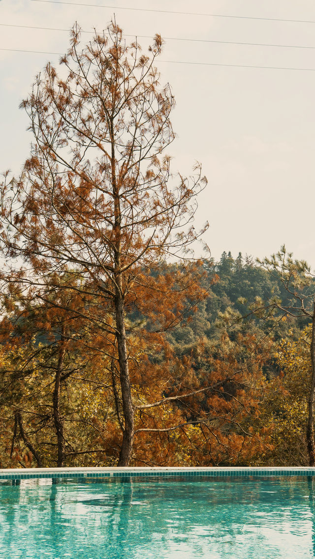 新昌,回山秋景已經藏不住了快衝呀 新昌,回山秋景已經藏不住了快衝呀