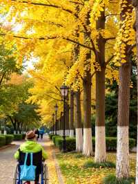 西安嘅秋天,明明係夢回「長安」|三日遊玩攻略
