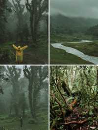 騰衝秋日｜美景+溫泉+野奢=理想假日