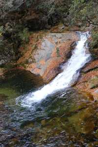 親子徒步看紅葉寶藏地，十八月潭保姆級攻略