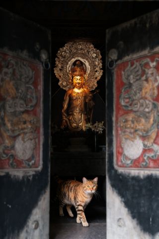 Pujiang Longtan Ancient Temple You deserve to become popular, it's truly a treasure