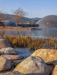 「朔州等地超嗨玩法，性價比爆棚啦！」