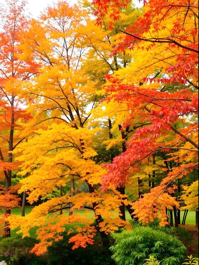 秋日限定｜雲平山私藏童話秘境小眾到喊！