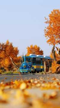 伊吾胡楊景區，《紅石榴餐廳》打卡地