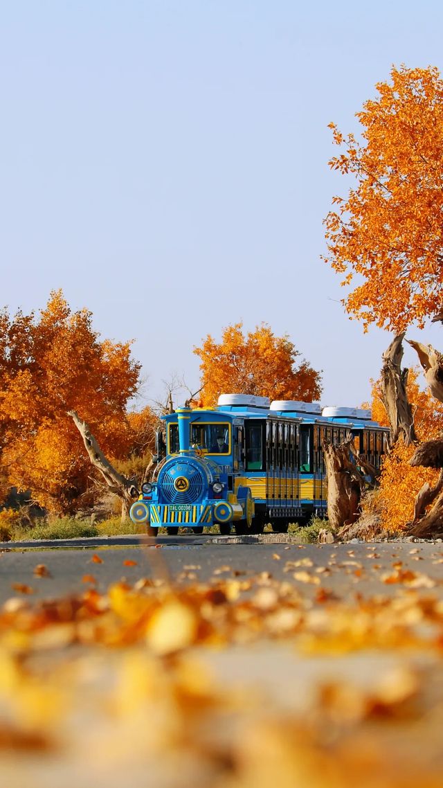 伊吾胡楊景區，《紅石榴餐廳》打卡地