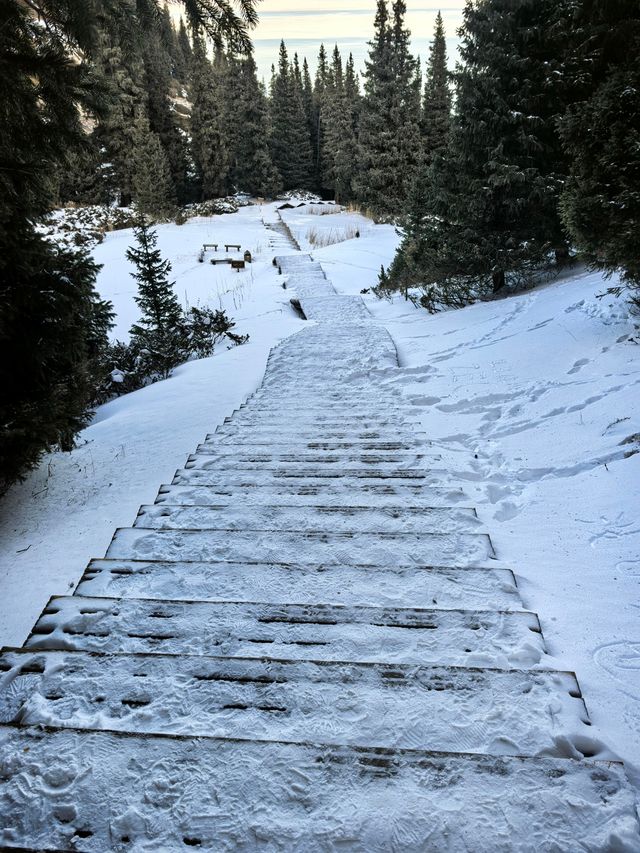賽里木湖攀登記｜松樹頭，人生最驚險的下山路