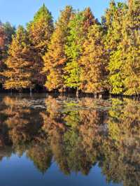 尊嘟紅了本週末就衝明孝陵燕雀湖