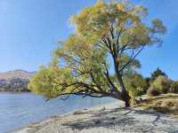 人間仙境瓦卡蒂普