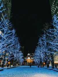 北海道札幌冬日點燈全攻略比東京還浪漫的白色燈樹節?