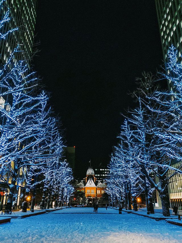 北海道札幌冬日點燈全攻略比東京還浪漫的白色燈樹節?