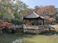 秋日虞山賞楓季