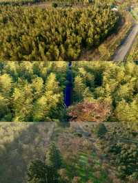 宜興這的秋天 建議去這裡