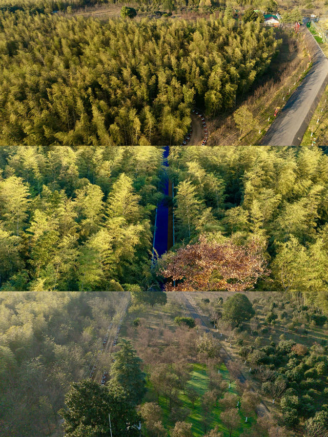 宜興這的秋天 建議去這裡