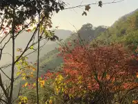 四明山蜘蛛嶺，秋日封神之作！