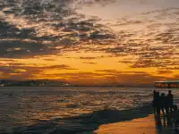 11月廈門，太適合晃晃悠悠了