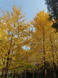 秦陵遺址賞秋攻略