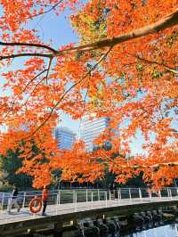 上海黃浦南園遊玩全攻略來了!!!