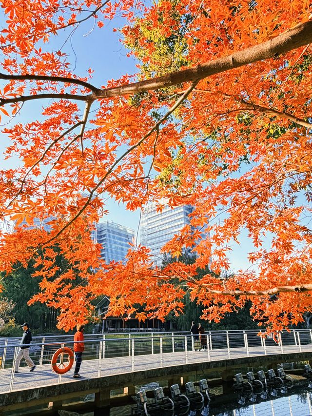 上海黃浦南園遊玩全攻略來了!!! 上海黃浦南園遊玩全攻略來了!!!