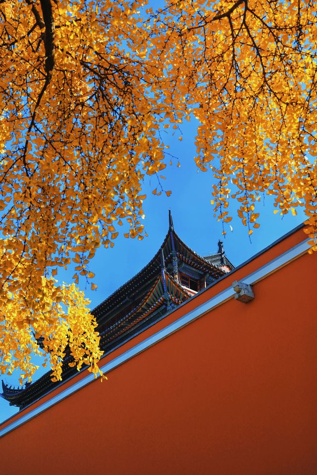 南京賞秋倒數最後10天必打卡的絕美秋色攻略 南京賞秋倒數最後10天必打卡的絕美秋色攻略