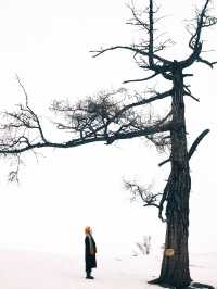 新疆行，真實體驗，未踩坑！