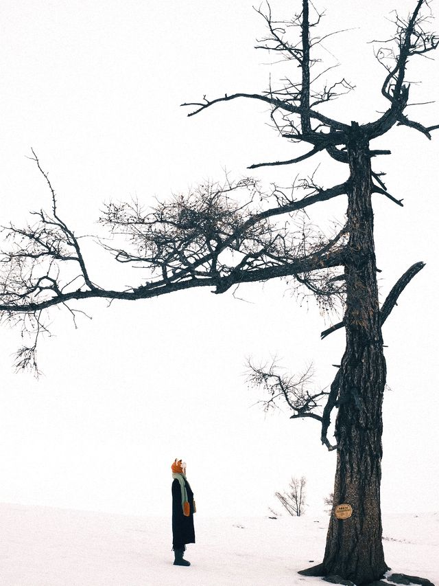 新疆行，真實體驗，未踩坑！