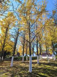 海寧觀潮勝地公園 | 深秋的詩意畫卷