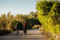 穿行阿爾布費拉自然公園，遇見自然本真