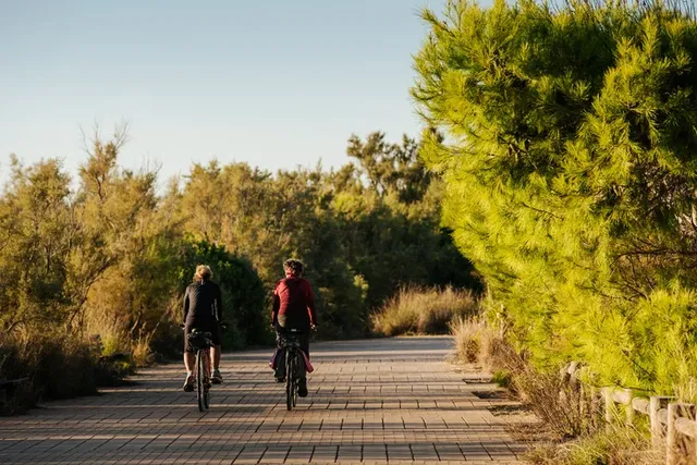 穿行阿爾布費拉自然公園，遇見自然本真