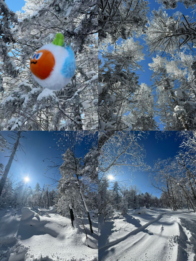 球球了 冬天遞來的邀請函 男方人一定要來 球球了 冬天遞來的邀請函 男方人一定要來