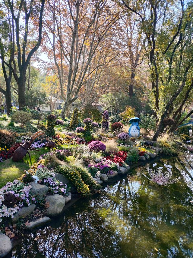 上海共青森林公園|秋日限定浪漫被我發現了 上海共青森林公園|秋日限定浪漫被我發現了