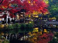 12月初實探｜無錫惠山古鎮，邂逅一場盛大的江南深秋