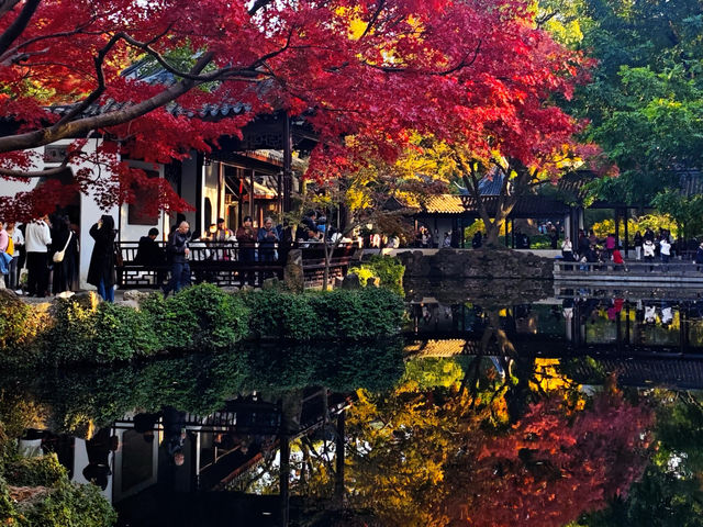 12月初實探｜無錫惠山古鎮，邂逅一場盛大的江南深秋