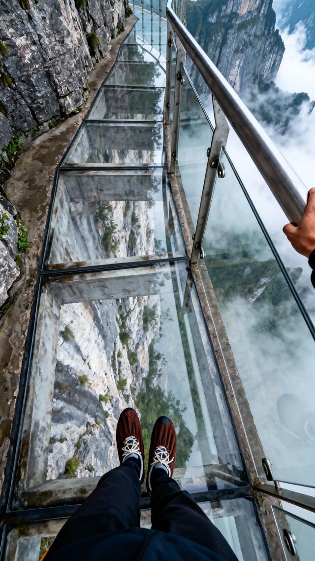 探秘潘多拉星球！4天3夜張家界奇幻之旅全攻略