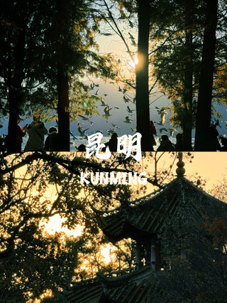 2天1晚，帶你漫步翠湖餵海鷗，在鬥南花市實現鮮花自由！