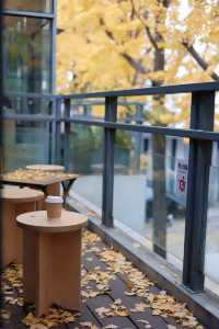 圖書館和銀杏真的絕配｜常熟