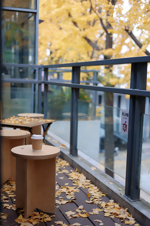 圖書館和銀杏真的絕配｜常熟