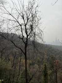 長沙 / 岳麓山景區
