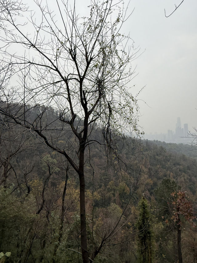 長沙 / 岳麓山景區 長沙 / 岳麓山景區