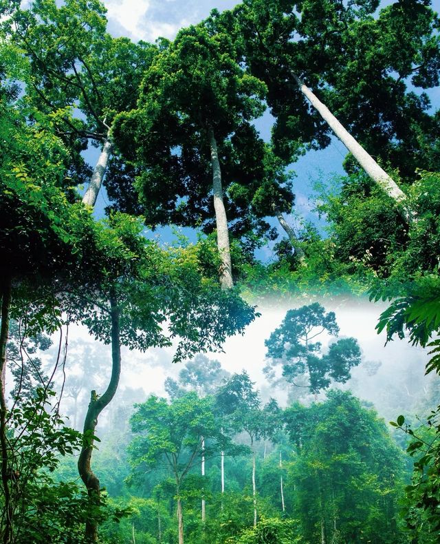 勐臘旅居優選！這家智能酒店，承包你的雨林漫遊與地道風味