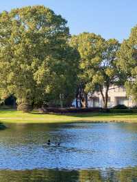 東郊秘境直出！比西郊美10倍的live級秋日畫冊