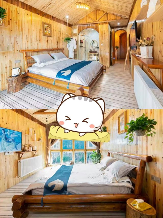 廬山杉與山青!住進山霧裡的神仙民宿 廬山杉與山青!住進山霧裡的神仙民宿