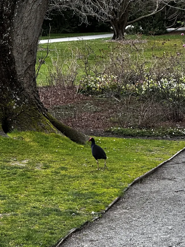 新西蘭·自然探索之旅 新西蘭·自然探索之旅