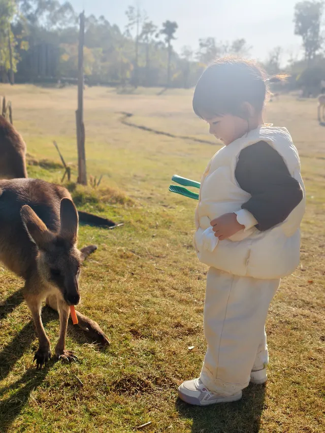 少走彎路清遠長隆一天遊玩攻略 少走彎路清遠長隆一天遊玩攻略