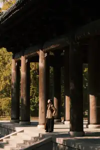 🪾千年銀杏，恰逢濮院橙黃橘綠時