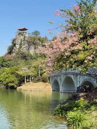 柳州寶藏公園——龍潭公園