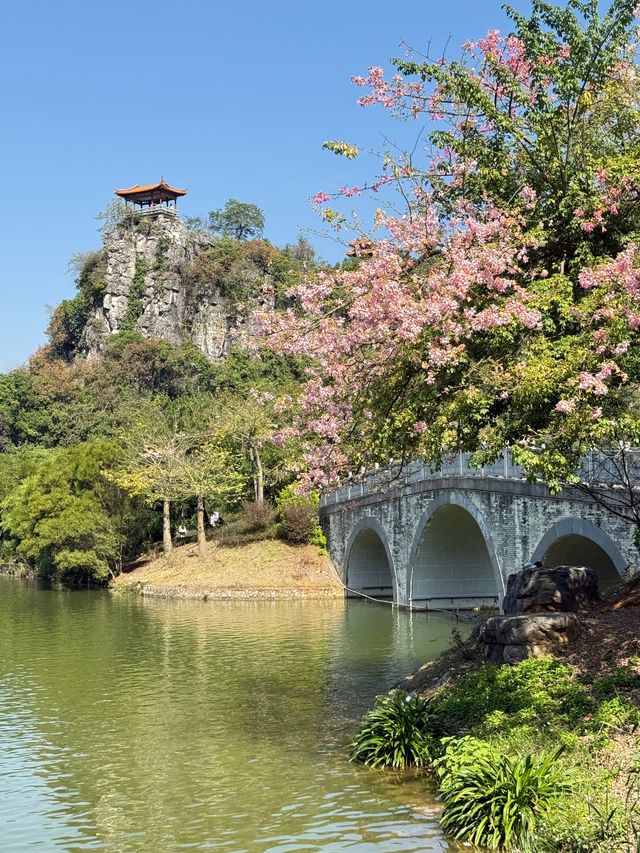 柳州寶藏公園——龍潭公園 柳州寶藏公園——龍潭公園
