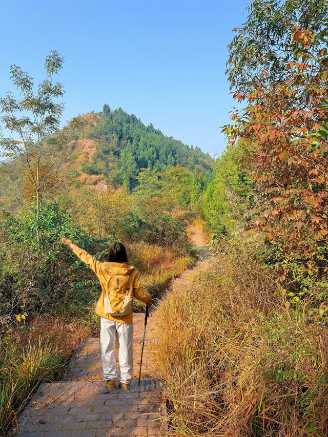 成都0.5h公交直達的秋日橘林徒步路線~#秋季去爬山南門 成都0.5h公交直達的秋日橘林徒步路線~#秋季去爬山南門