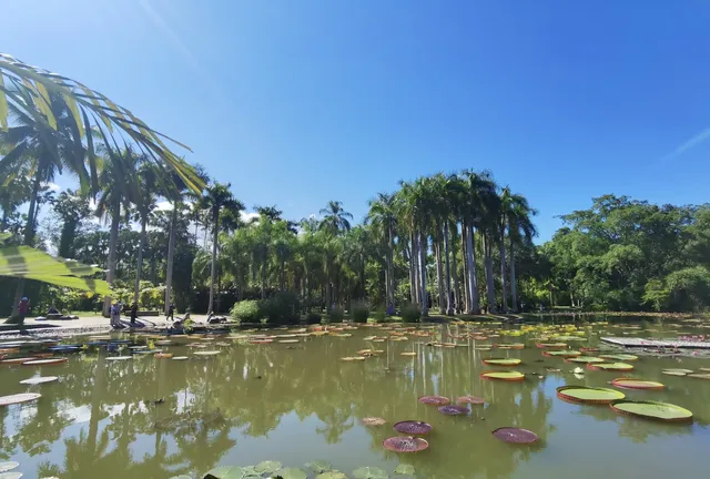 超值的!版納中科院植物園強推 超值的!版納中科院植物園強推
